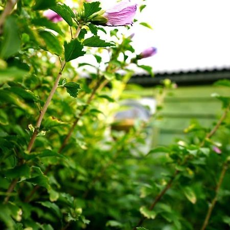 Romantic Retreat - Luxury Shepherds Hut + Hot Tub! Camborne Exterior foto