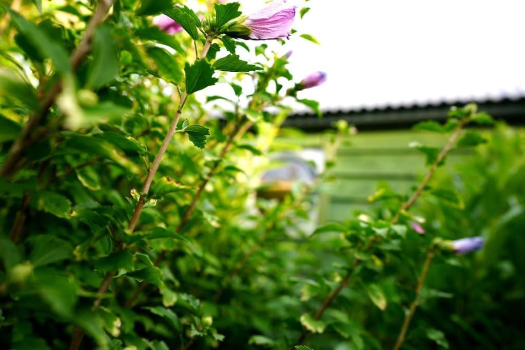 Romantic Retreat - Luxury Shepherds Hut + Hot Tub! Camborne Exterior foto